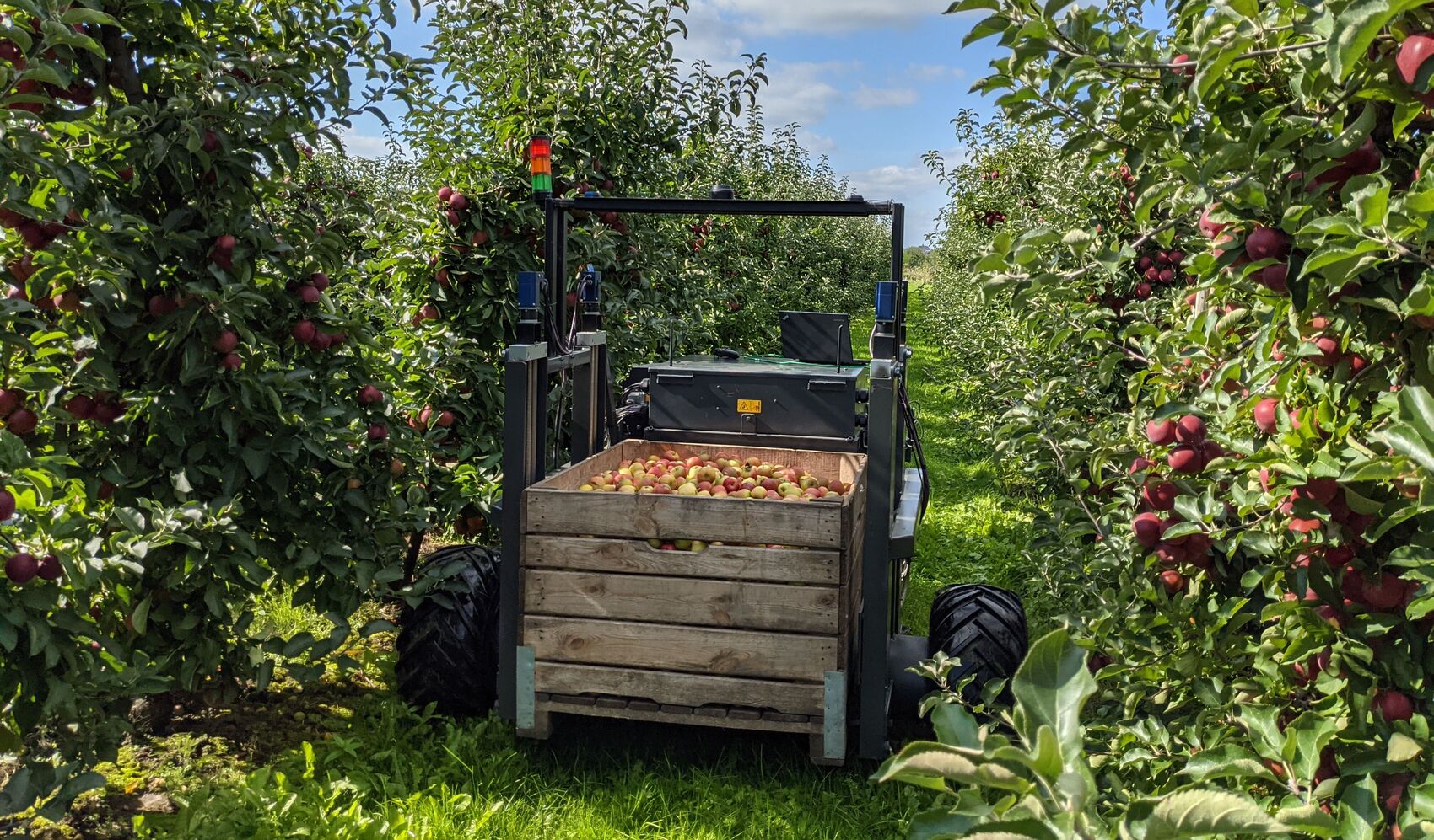 Aurora, autonom fahrender Roboter zwischen Apfelbäumen